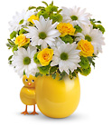 My Little Chickadee  Cottage Florist Lakeland Fl 33813 Premium Flowers lakeland